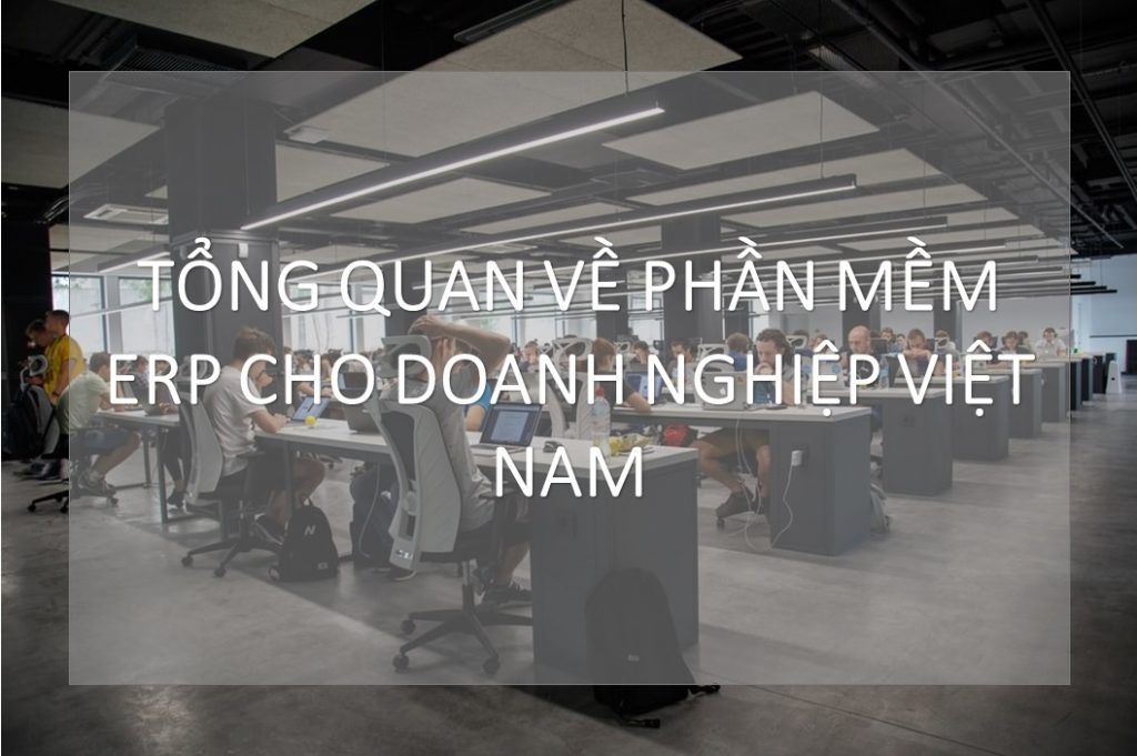 越南企业 ERP 软件概述